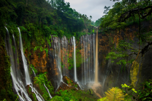 Sepakat! Pemkab Lumajang Berlakukan Satu Tiket dan Satu Harga Wisata Tumpak Sewu